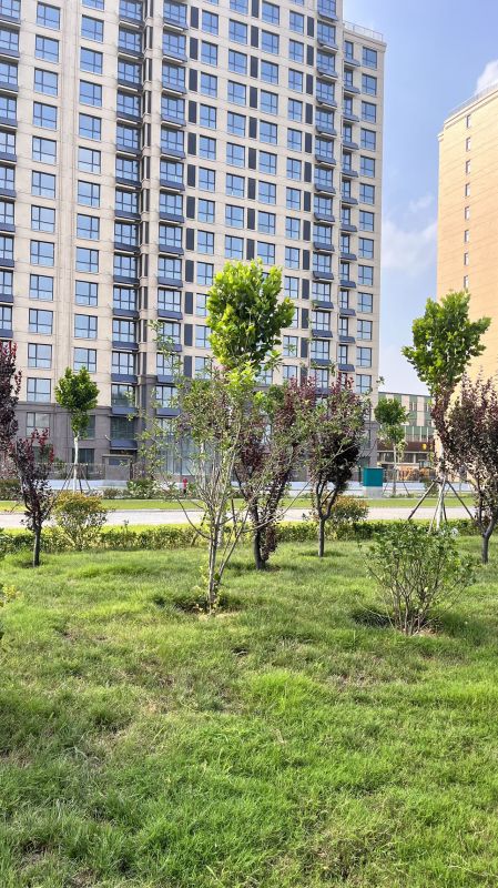 毛坯3室2廳2衛119m280萬元