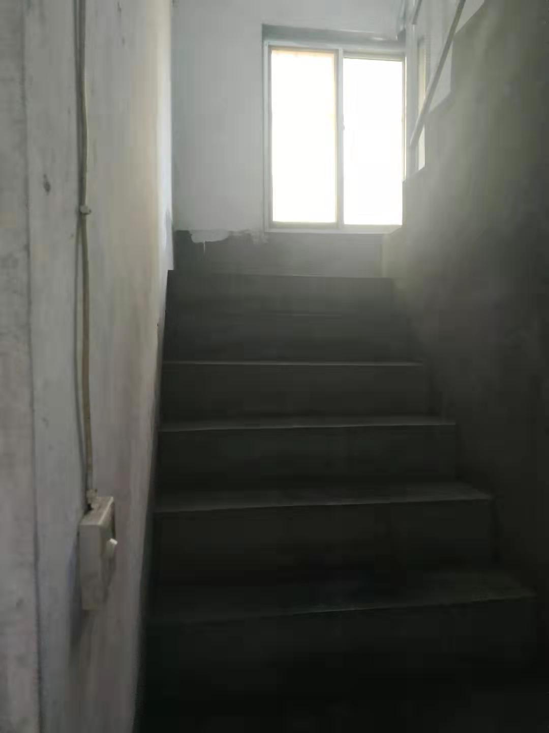 普通裝修5室3廳2衛388m2860元/月