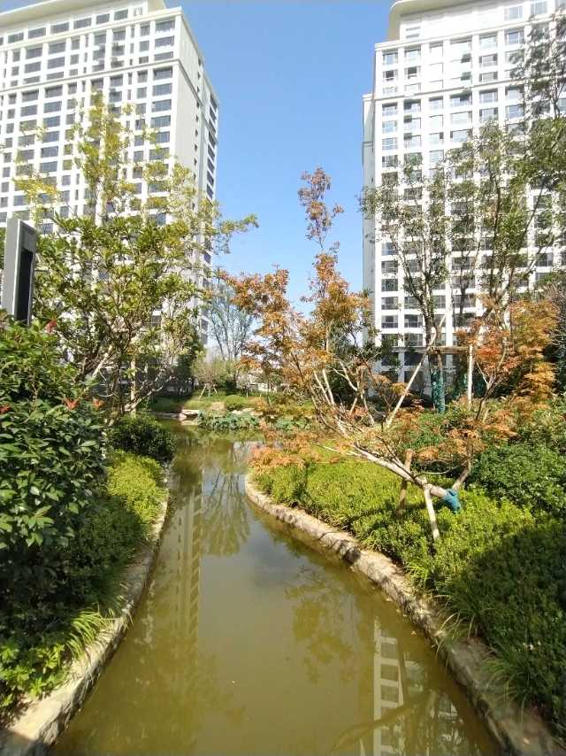 抵帳房 精裝 四室一樓帶50平院 讓利出售