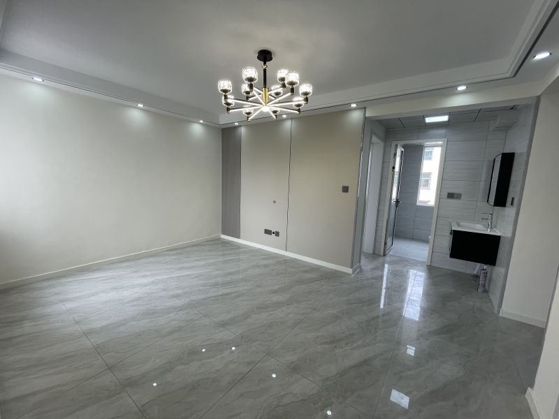 善南小區 前排 精裝修未住