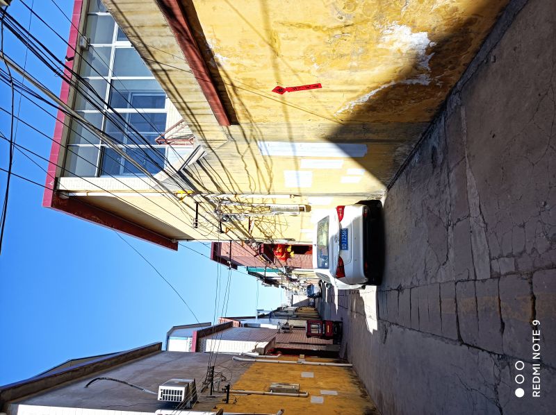 善文東街獨院（老二中南門）