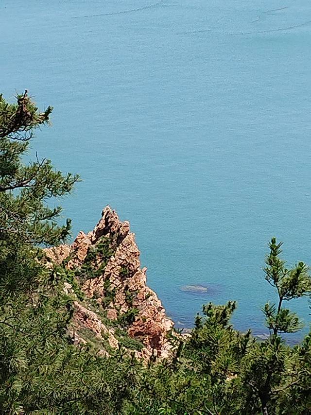 普通裝修4室2廳2衛170m21400元/月