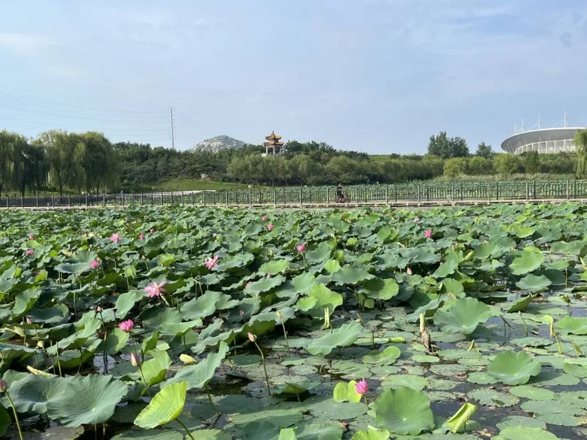 普通裝修3室1廳1衛80m21000元/月