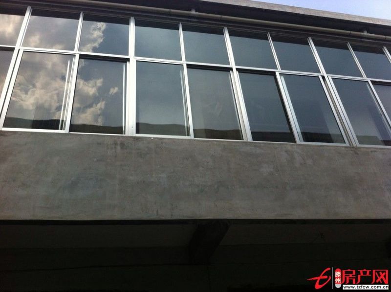 東環路，櫻花苑，前大廟村，八間兩廳整體獨院出租