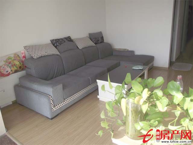 急租急租！！