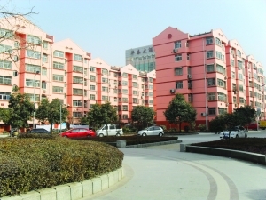 新興南區，三室一廳