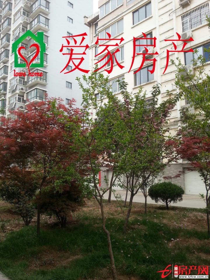 荊善南苑升值空間大，交通便利，有暖氣