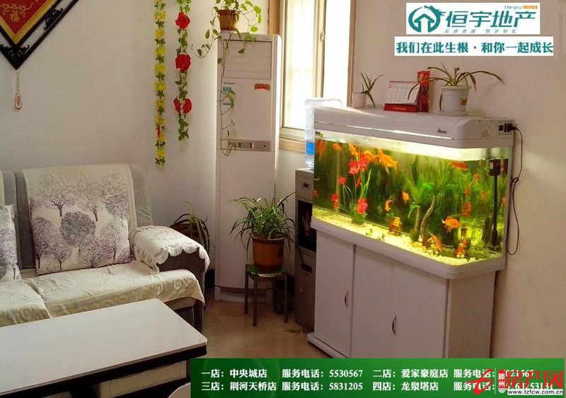 不管您看了多少次，它也不會降一次