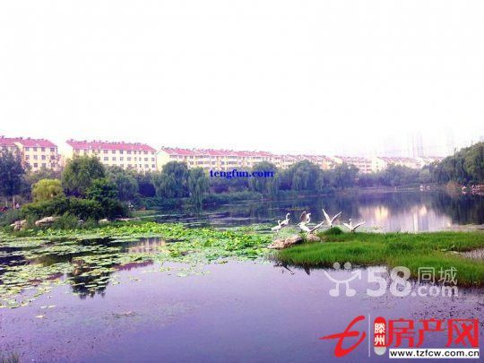 荊善安居適合老年人住的好房低價出售