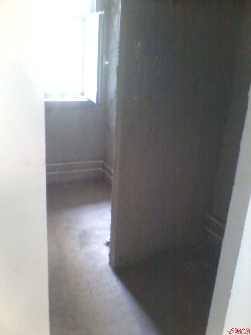 海上生明月，天涯共朝陽