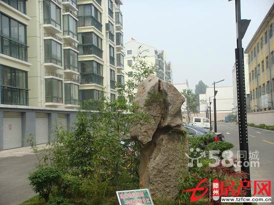 金城東區黃金樓層小三室低價出售