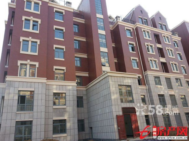 【水善園】豪華復式毛坯現房出售