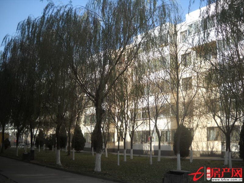 重點學區房精致戶型繁華地段