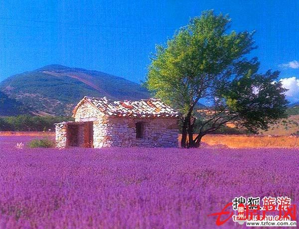 單價低的城西供暖房總價低戶型好性價高證滿五年