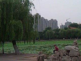 清河花園三室戶型低價出售