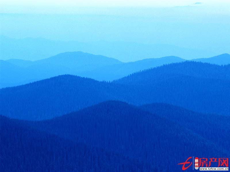 善國大橋南荊善安居小區