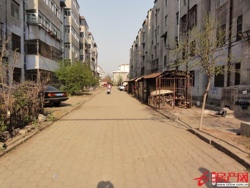 出租別墅，可商住兩用，可當小飯桌、培訓班使用