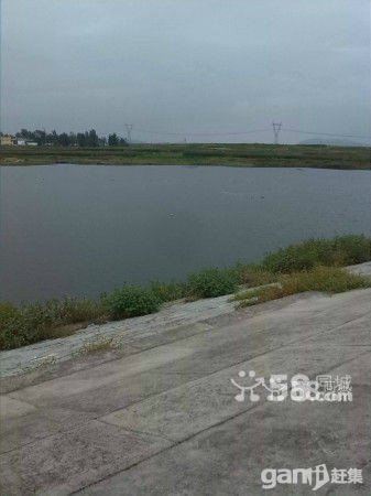 急急急緊急出租水庫