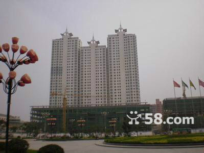 杏滕國際吐血價出售