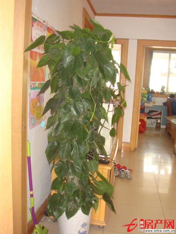 出租龍泉苑小區房，拎包即住設施齊全