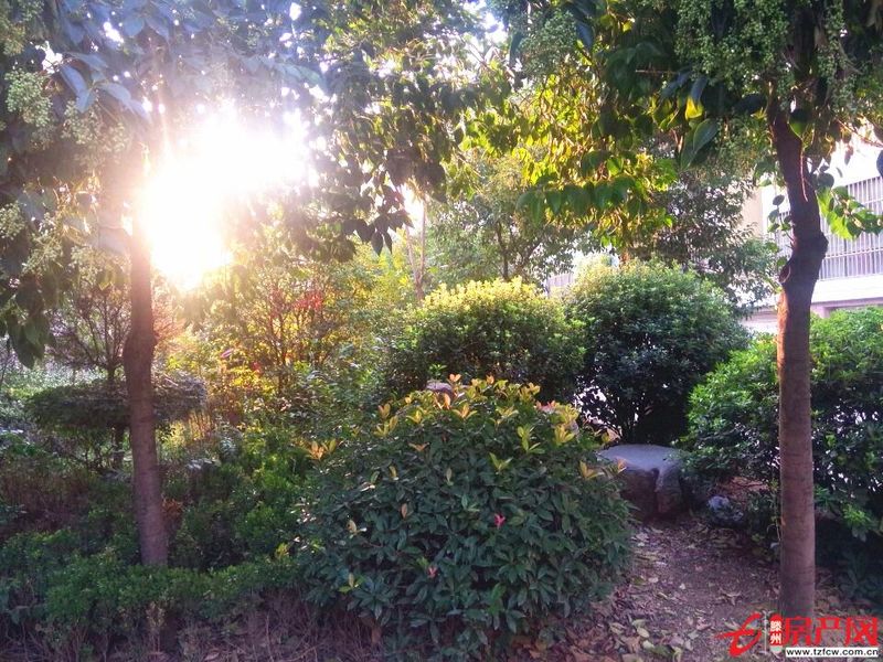 城西小通盛錦泰名城