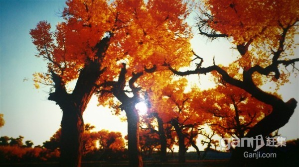 荊善安居過戶費低黃金一樓三室一廳滿五年可貸款