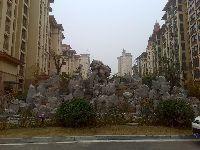 三室兩廳兩衛，帶庭院，電梯洋房，帶車位