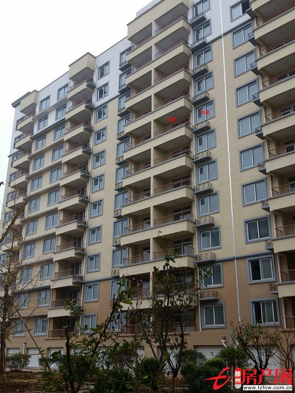 新房，便宜出租。