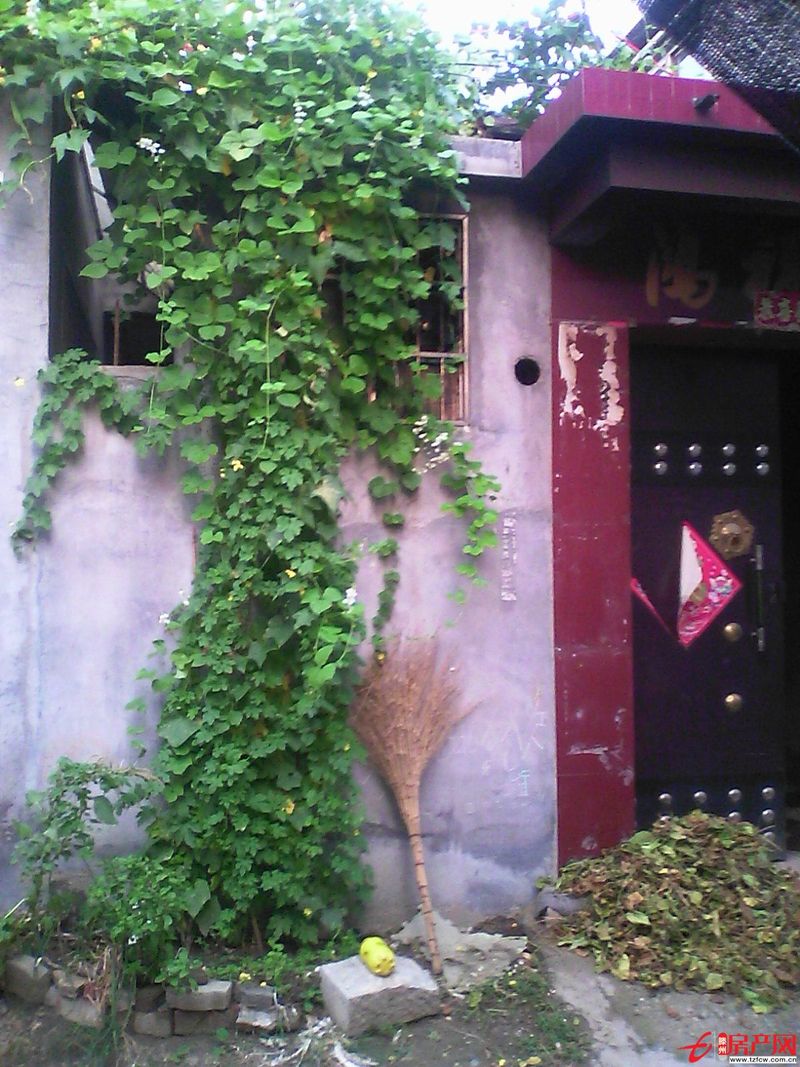 吉房出租（獨院）