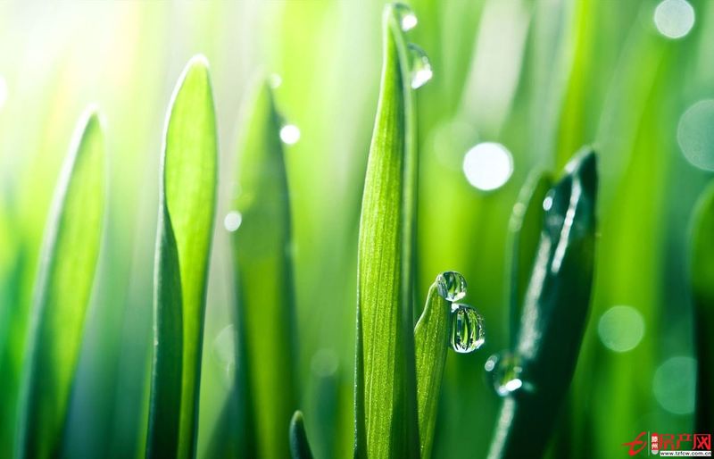 問天精裝修全套家具家電