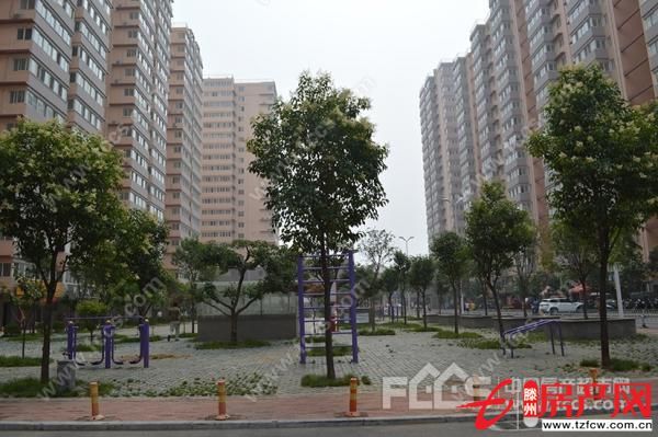 問天三期簡裝、環境優雅【全款】