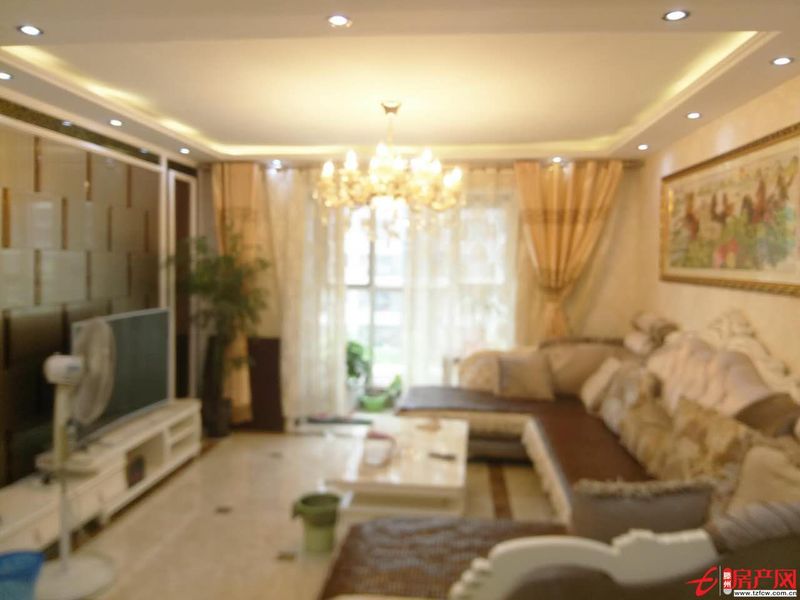 威尼斯六區精裝修送平儲藏室滕南學區房