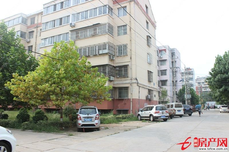 誠信花園，經典多層，頂樓，上學方便，過渡的不二選