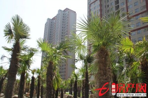 狀元府優惠房，售樓處手續，可貸款，正常首付。