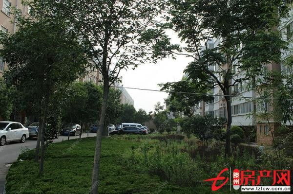 荊善安居，簡單裝修，證滿五年，需全款，儲藏室。