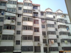 金城西區房屋出租