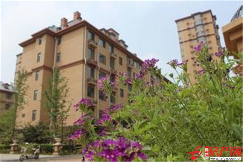 大同天下羅納香頌，電梯花園洋房，含車位儲可貸款，走售樓處手續