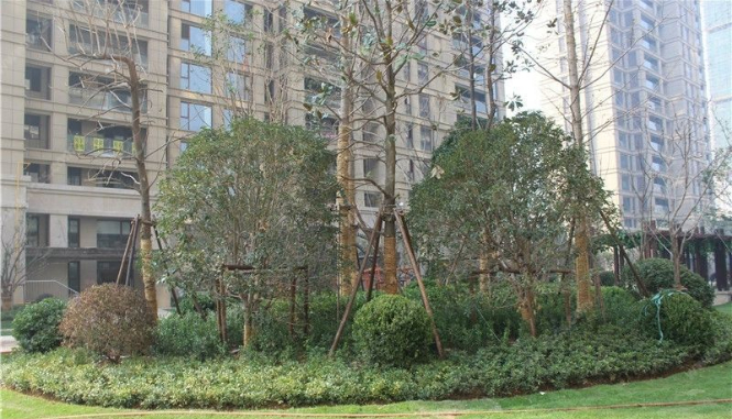 星尚城，好樓層，環境優美，上房費已繳清。