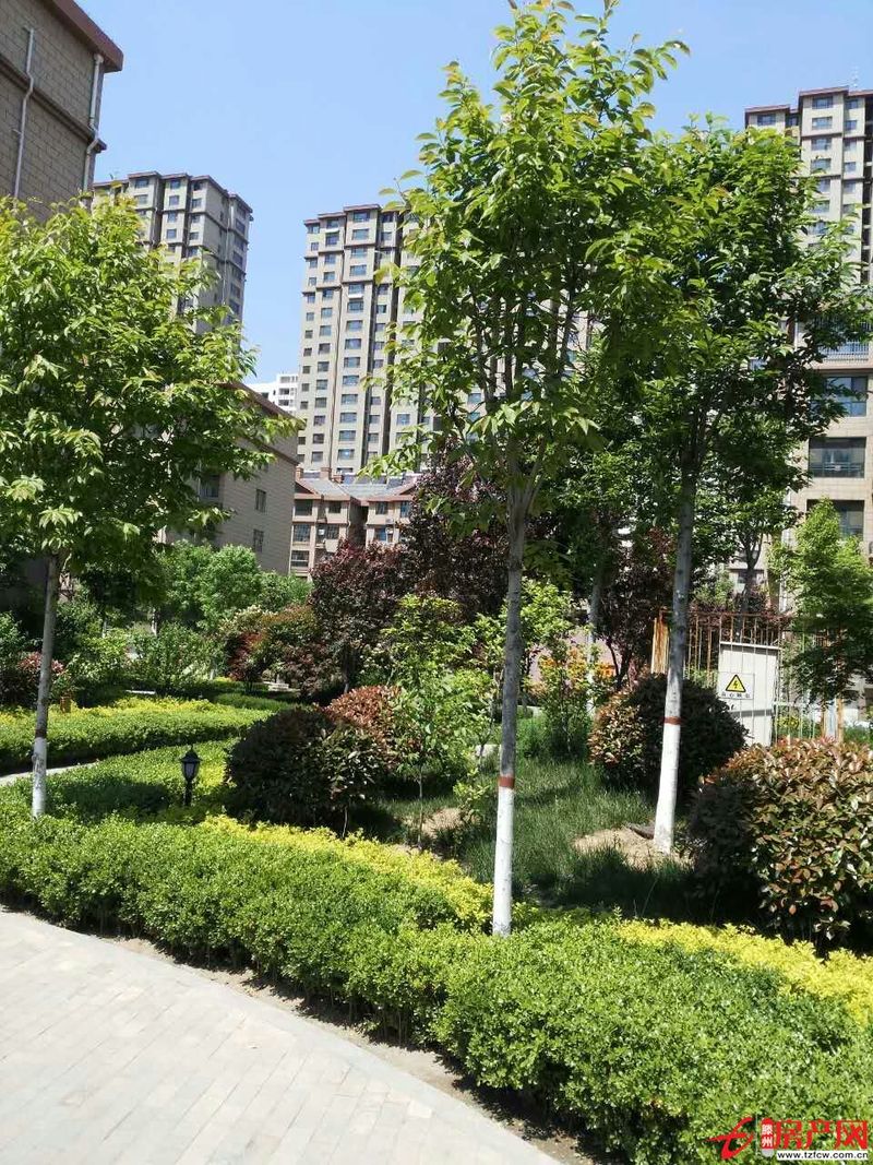 善南小區多層高，簡裝，有證，含儲有暖