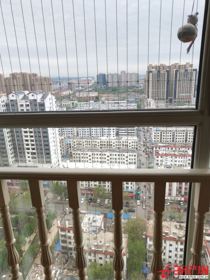 九州清晏精裝修，南北通透，全明戶型，拎包即住三