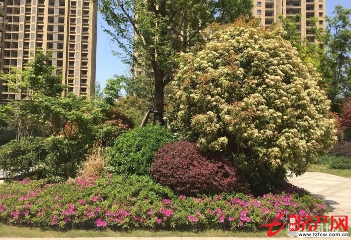 金河灣兩室兩廳好樓層實驗小學學區房，荊河公園對面，全款