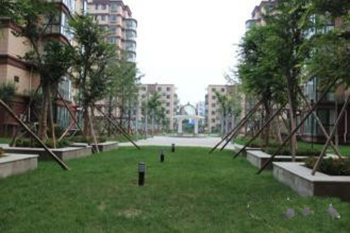 忠真新天地，精裝修，兩室一廳朝陽，證滿兩年，可貸款。