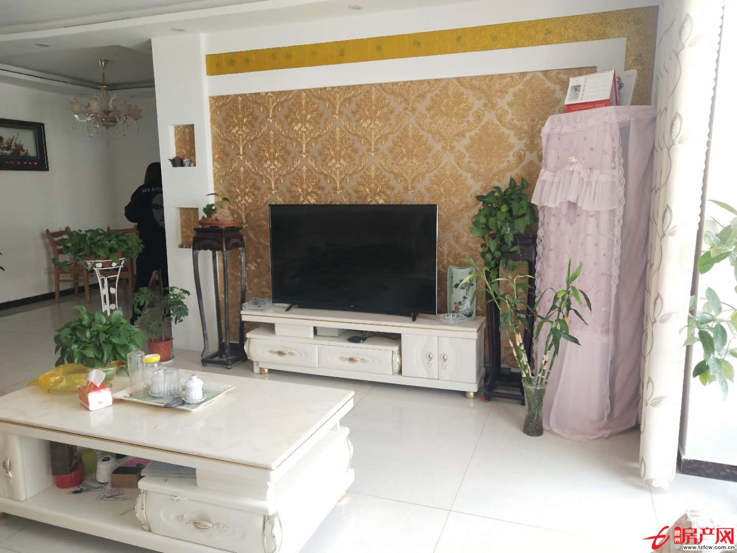 威尼斯3室2廳 精裝修可貸款 送儲藏室 實驗小區滕南