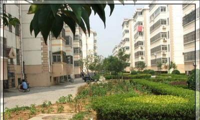 荊善安居實用三室一廳送儲藏室