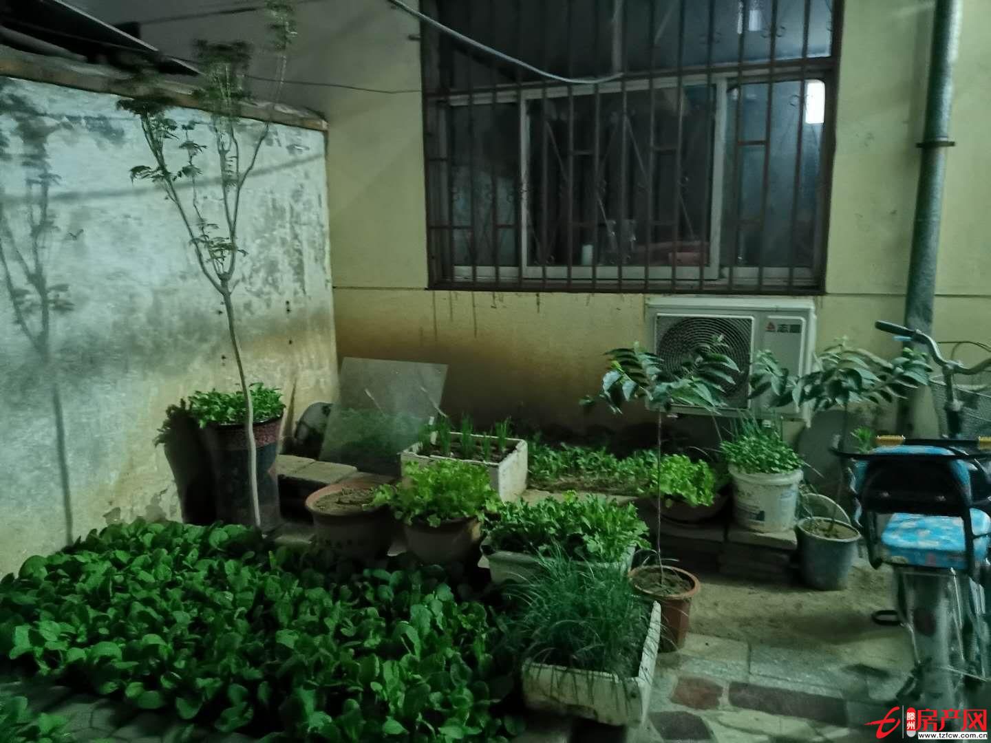 金城小區一樓帶院精裝修設施齊全戶型方正送儲藏室正滿五過戶費低