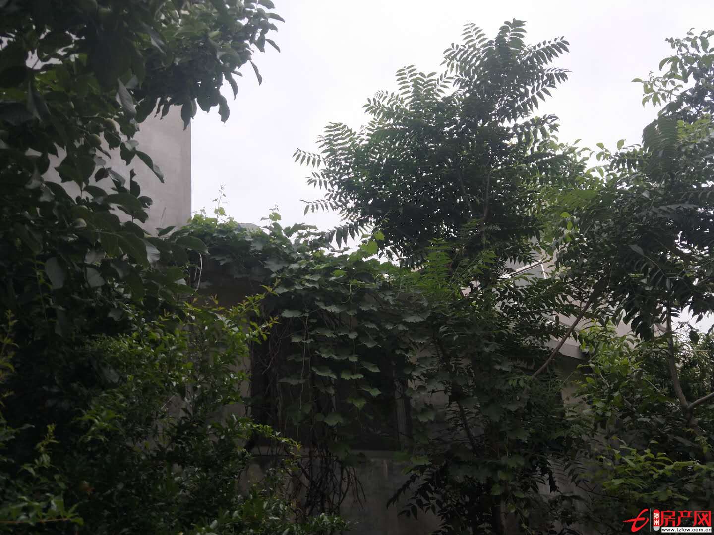 獨院一座，方便清凈