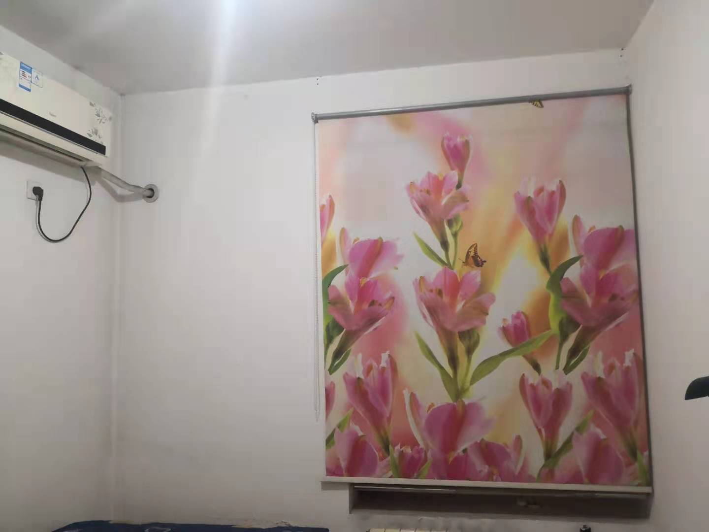 普通裝修4室2廳2衛147m21800元/月