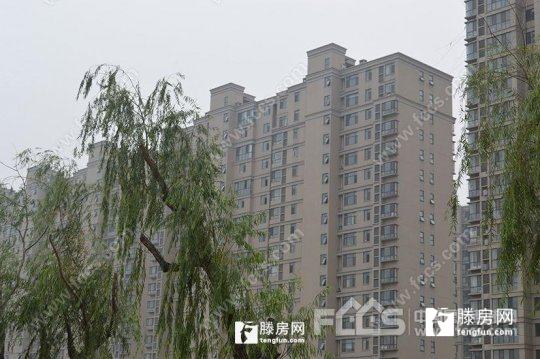 普通裝修2室2廳1衛98m2116萬元