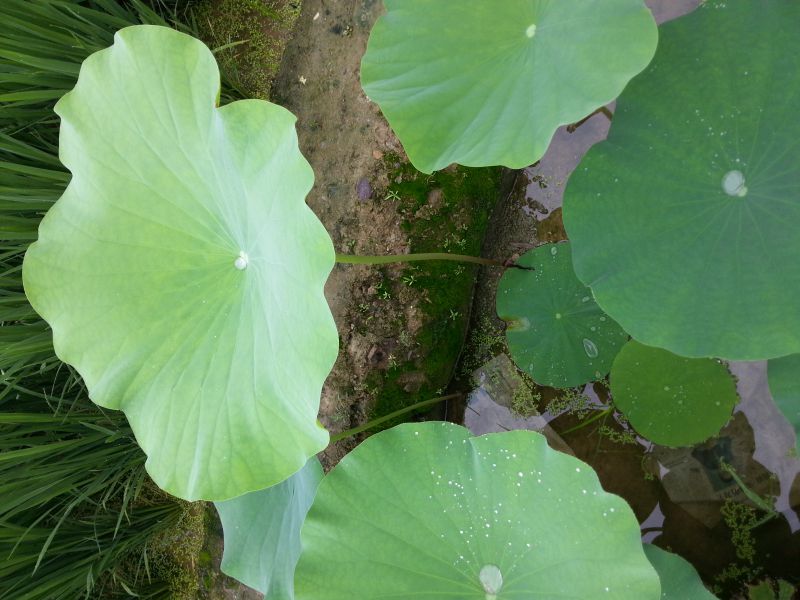 商鋪出租善國中路兩層門面房出租6500/月350m2出租