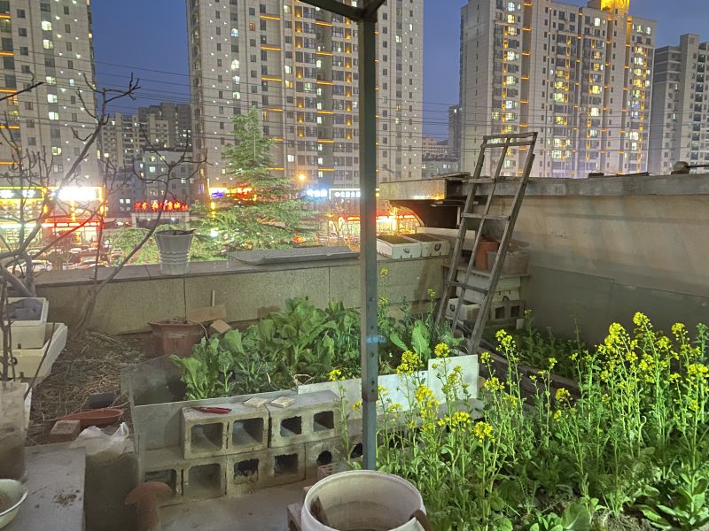 涵翠苑B區  精裝修送平臺3室2廳1衛116m299.8萬元